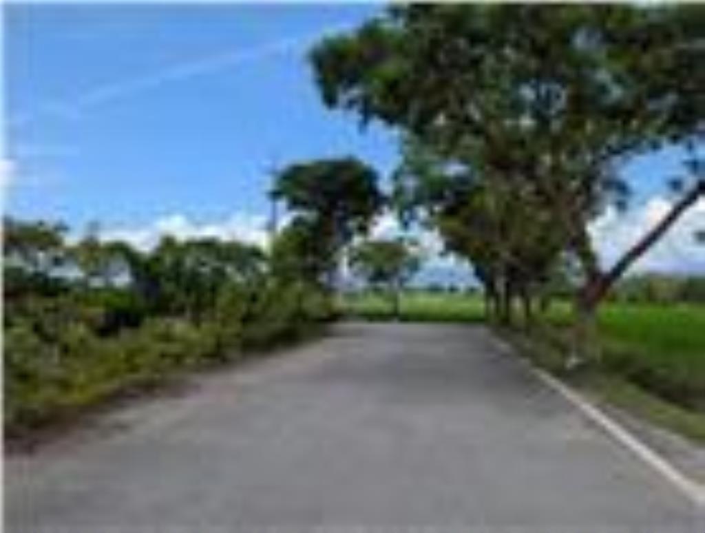 DC441安農溪舒適絕美農地