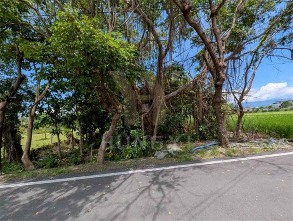 DC445安農溪沉浸式漂亮農地