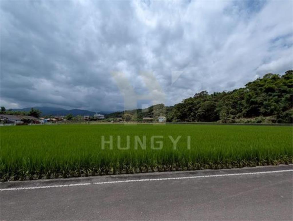 DC446三星大隱一段大面寬方正美農地