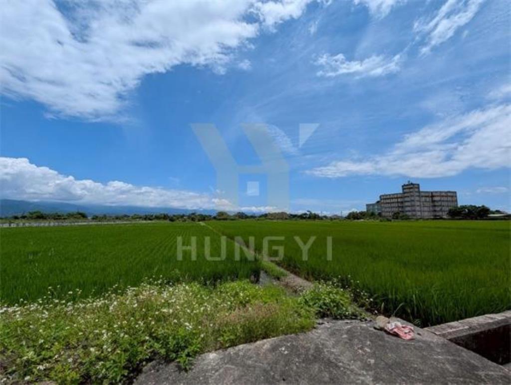 DC446三星大隱一段大面寬方正美農地