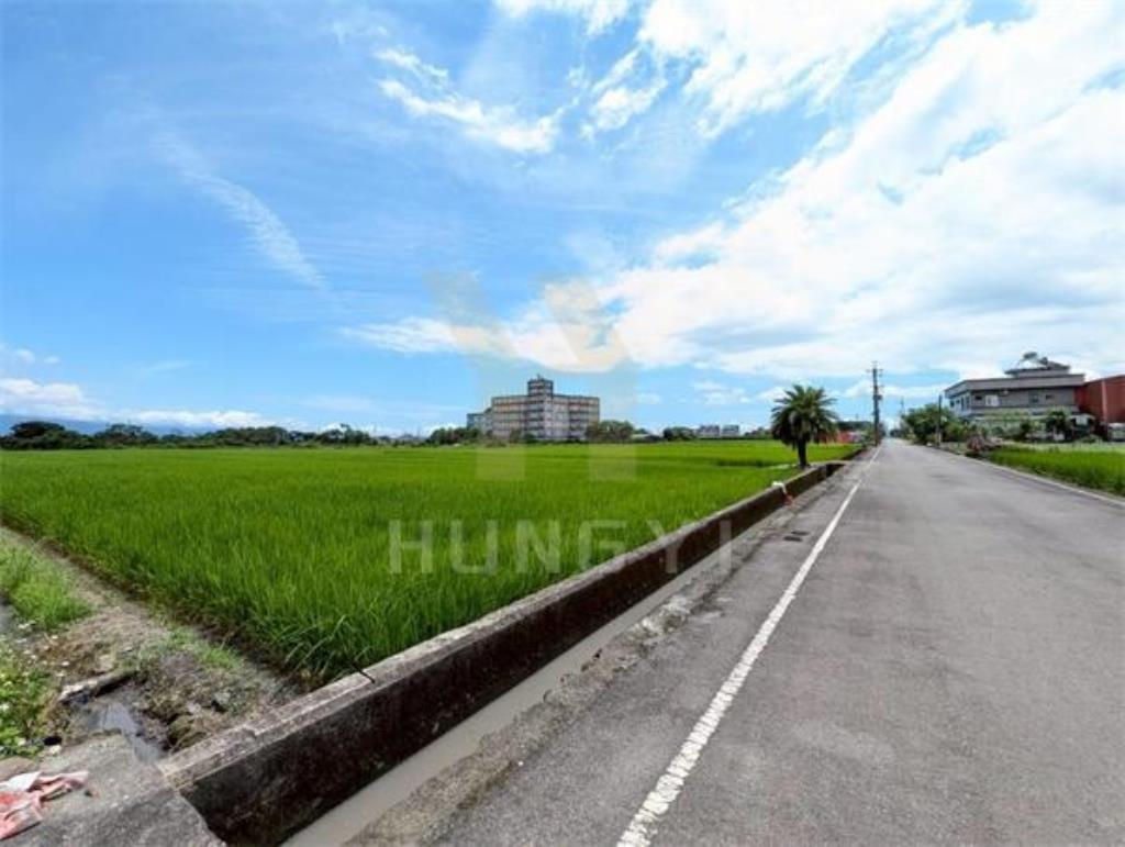 DC446三星大隱一段大面寬方正美農地