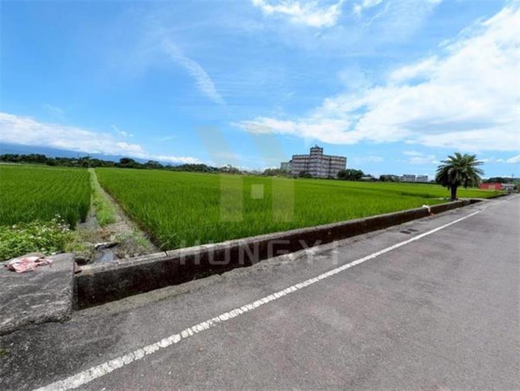 DC446三星大隱一段大面寬方正美農地