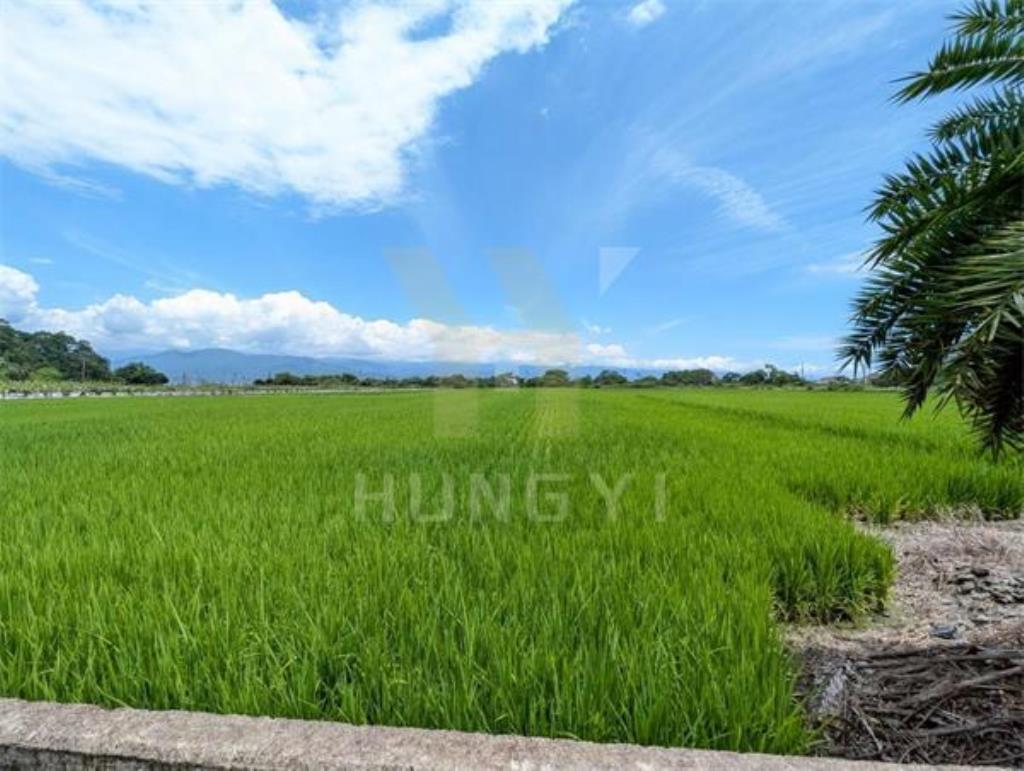 DC446三星大隱一段大面寬方正美農地