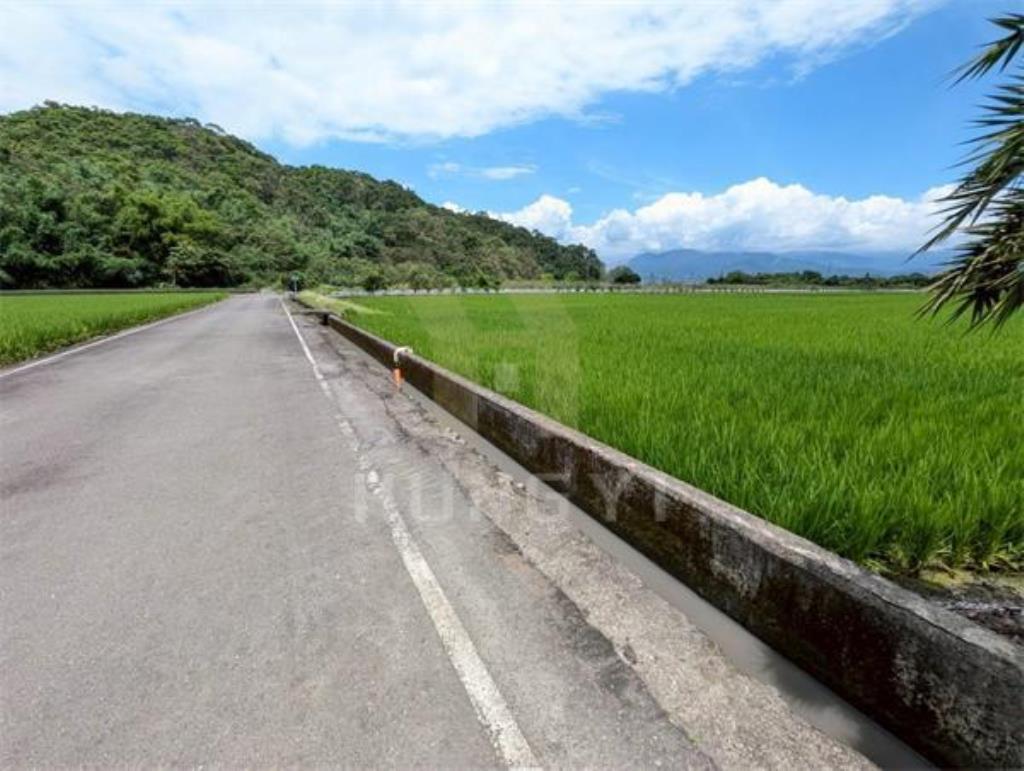 DC446三星大隱一段大面寬方正美農地