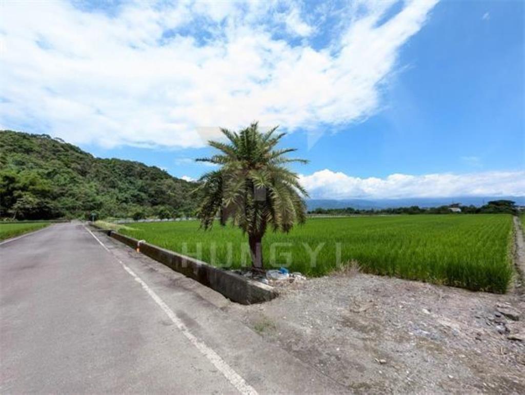 DC446三星大隱一段大面寬方正美農地