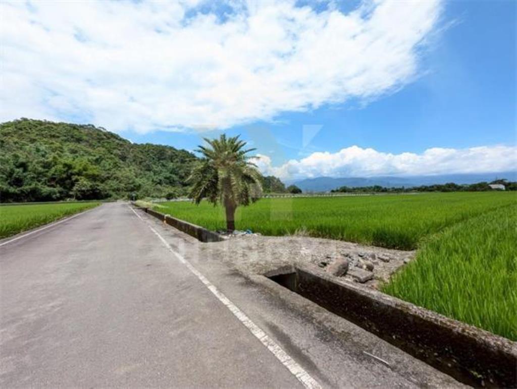 DC446三星大隱一段大面寬方正美農地