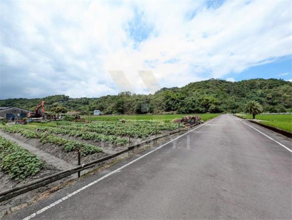 DC446三星大隱一段大面寬方正美農地