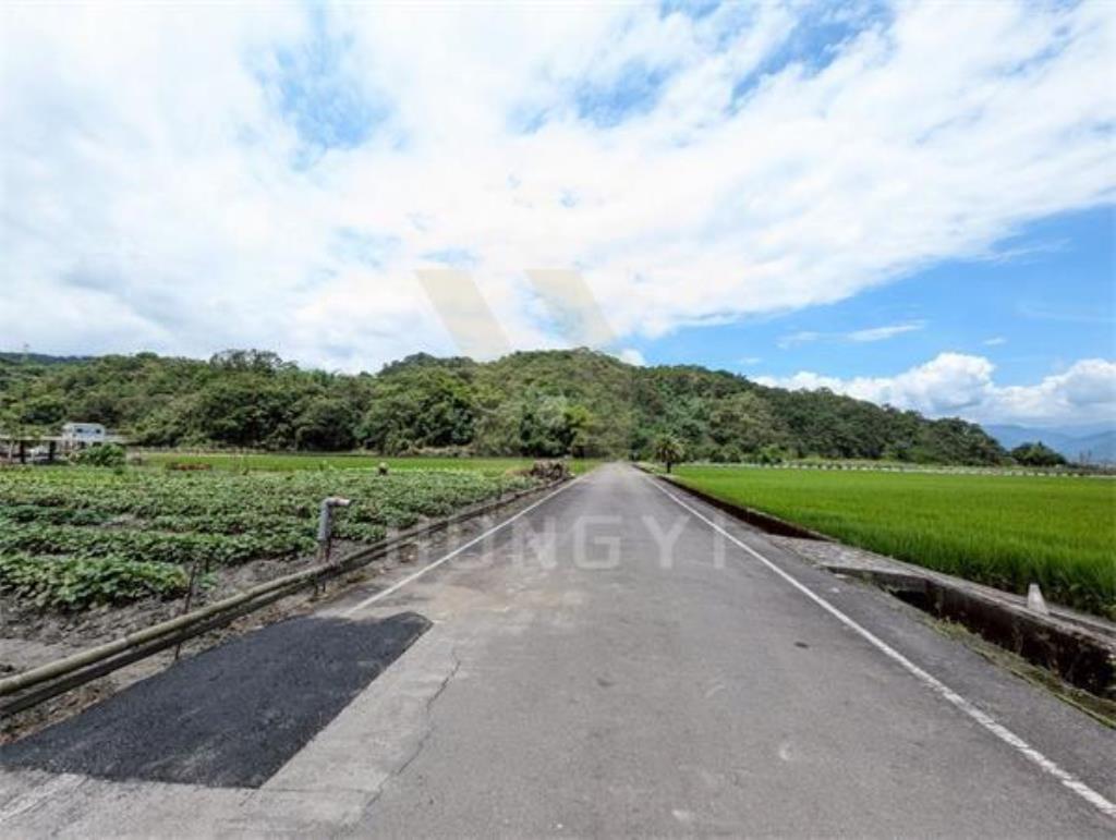 DC446三星大隱一段大面寬方正美農地