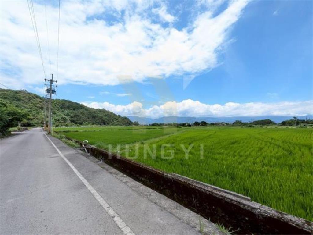 DC446三星大隱一段大面寬方正美農地