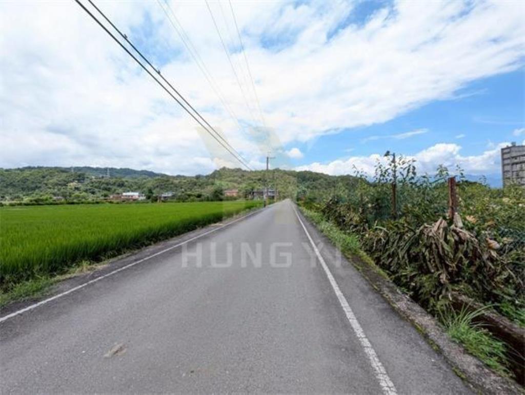 DC446三星大隱一段大面寬方正美農地