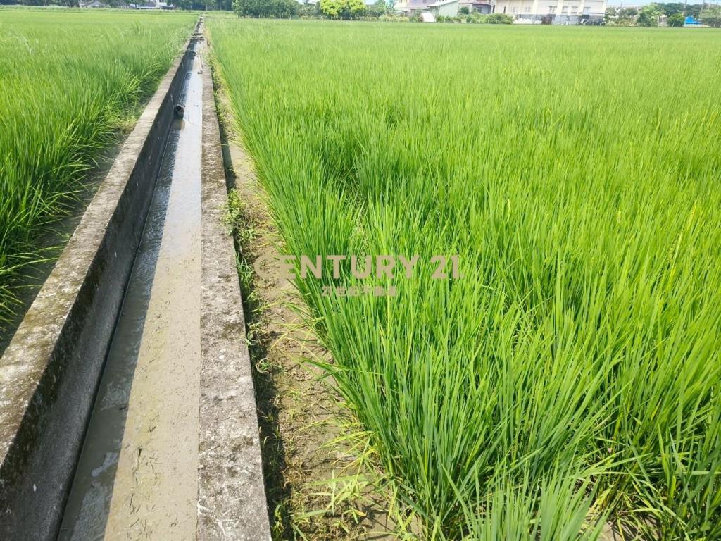 DC447礁溪風光美老農的地