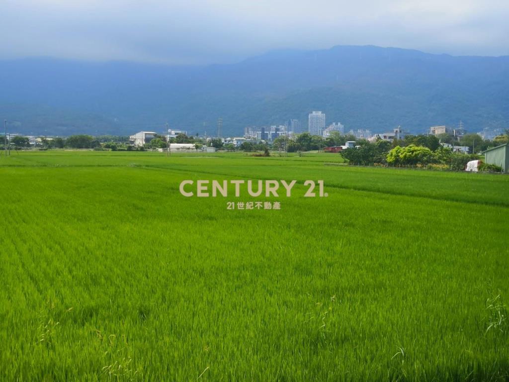 DC447礁溪風光美老農的地