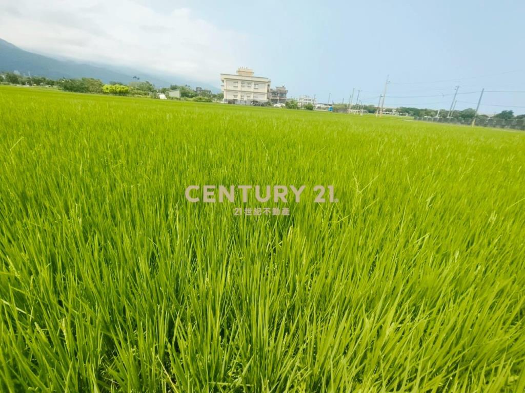 DC447礁溪風光美老農的地