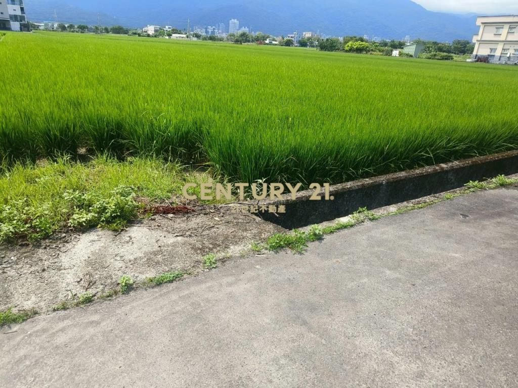 DC447礁溪風光美老農的地