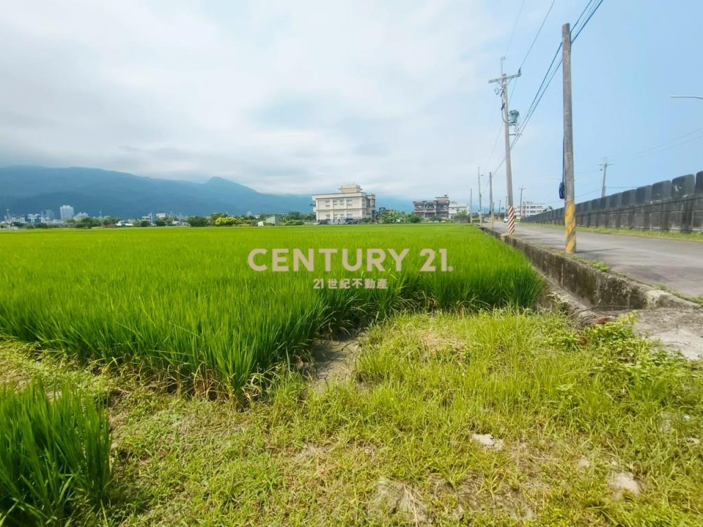 DC447礁溪風光美老農的地