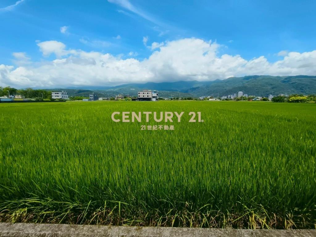 DC447礁溪風光美老農的地