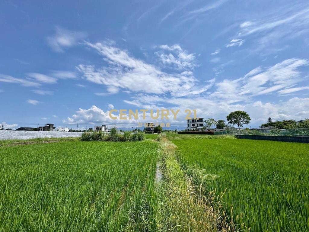 DC448員山近縣政雙面路農地