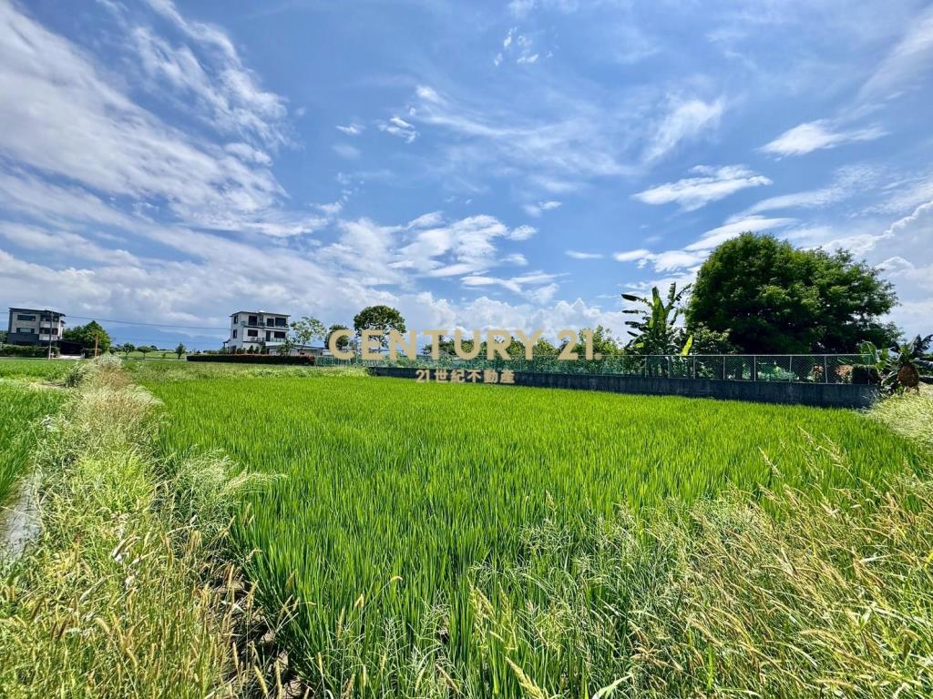 DC448員山近縣政雙面路農地