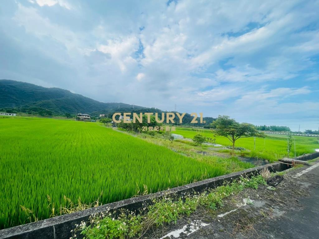 DC449員山大湖螃蟹冒泡足坪農地