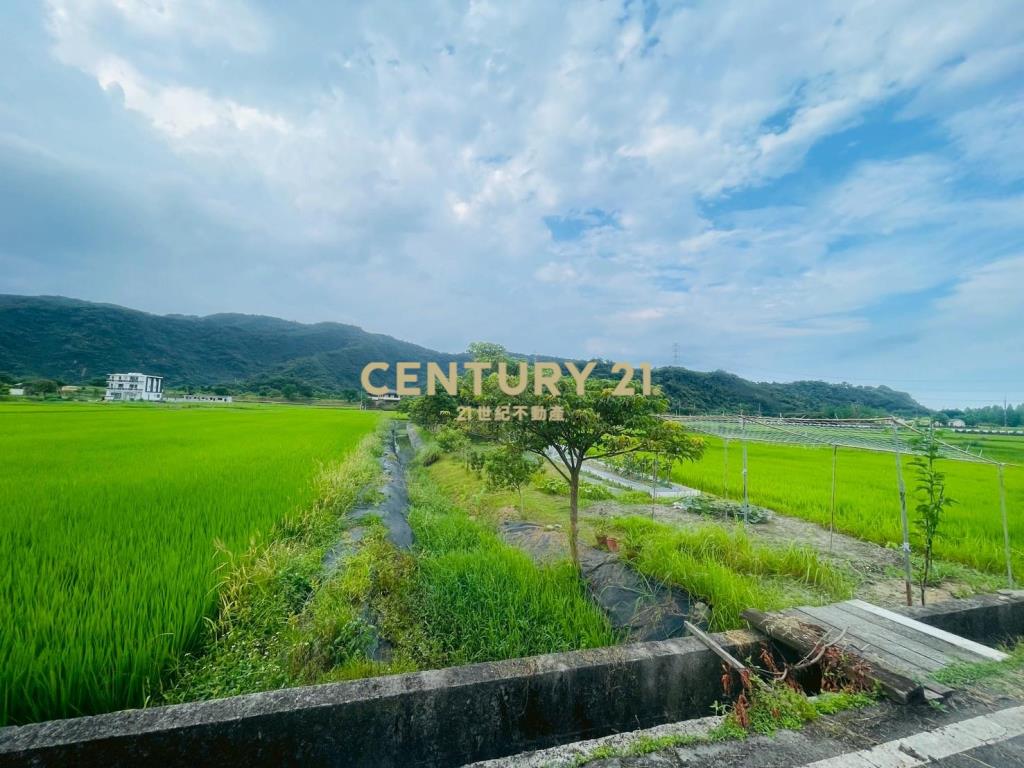 DC449員山大湖螃蟹冒泡足坪農地