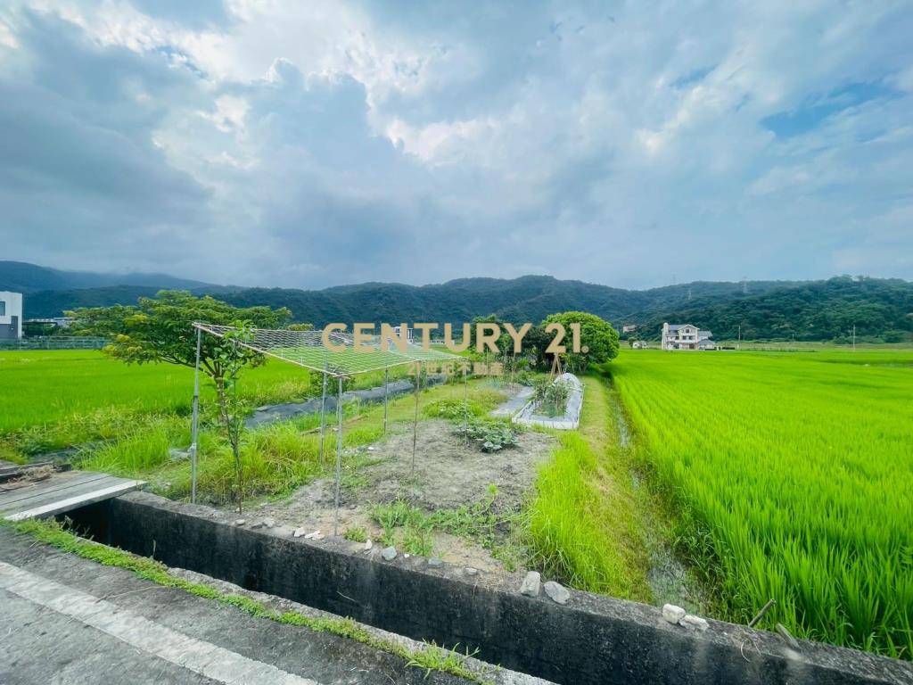 DC449員山大湖螃蟹冒泡足坪農地