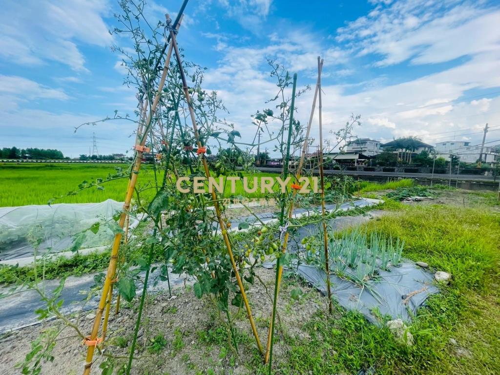 DC449員山大湖螃蟹冒泡足坪農地