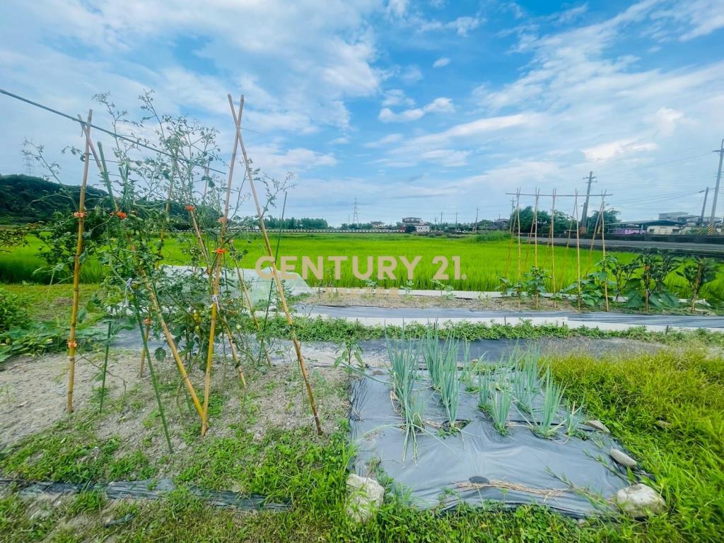 DC449員山大湖螃蟹冒泡足坪農地