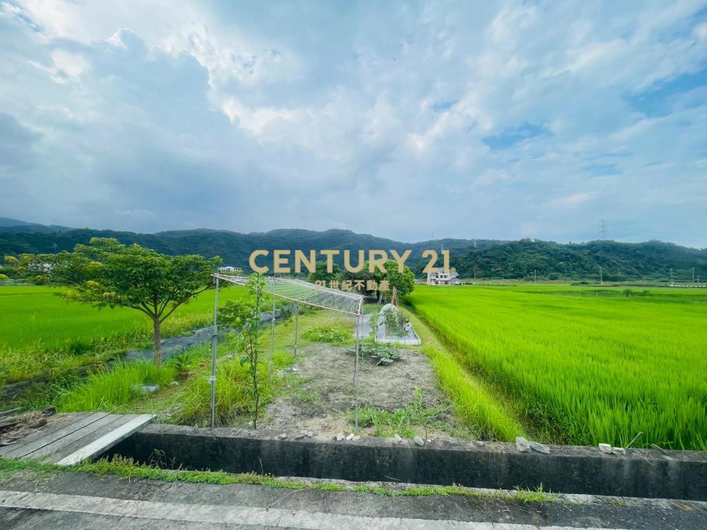 DC449員山大湖螃蟹冒泡足坪農地