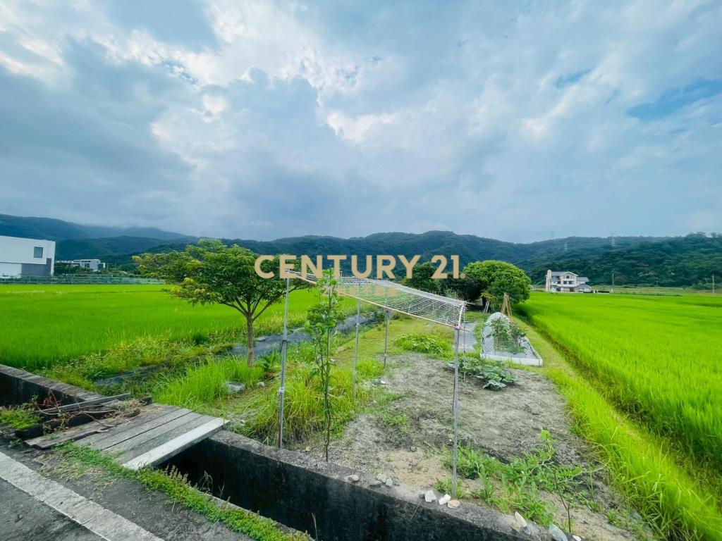 DC449員山大湖螃蟹冒泡足坪農地