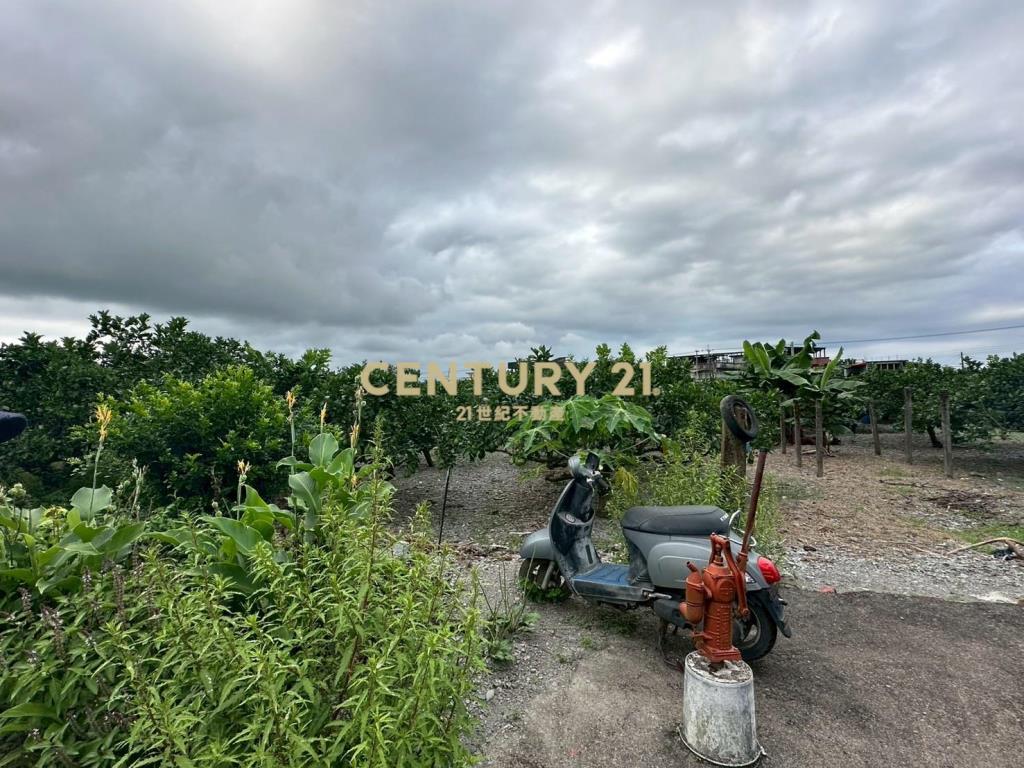 DD230冬山大面寬甲種建地