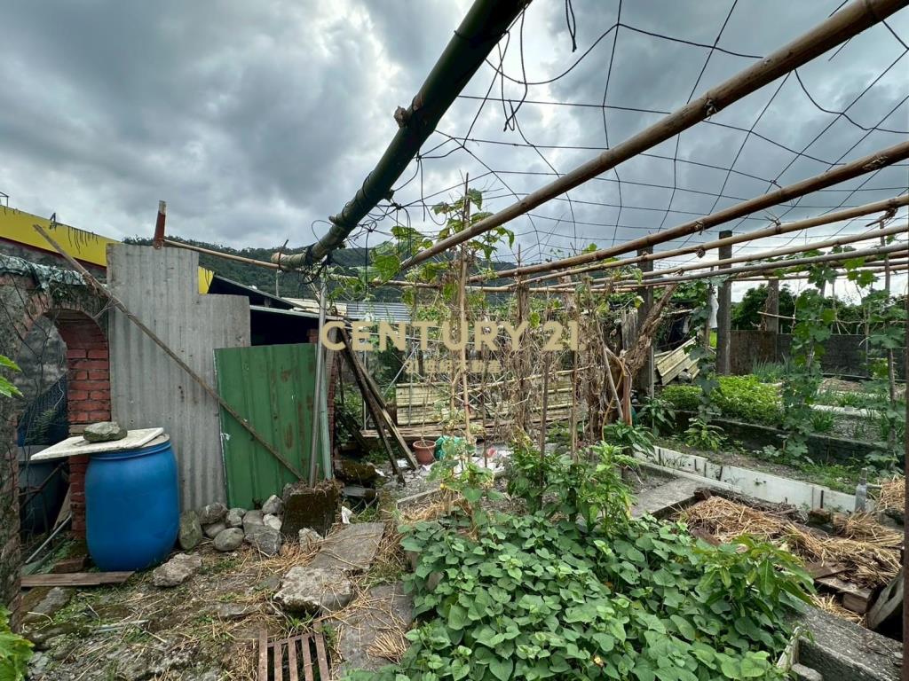 DD230冬山大面寬甲種建地