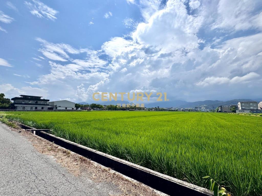 DC455員山公所旁足坪農地