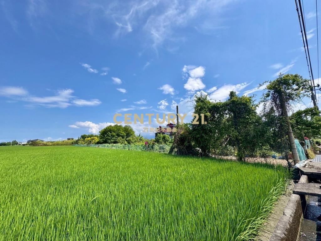 DC455員山公所旁足坪農地