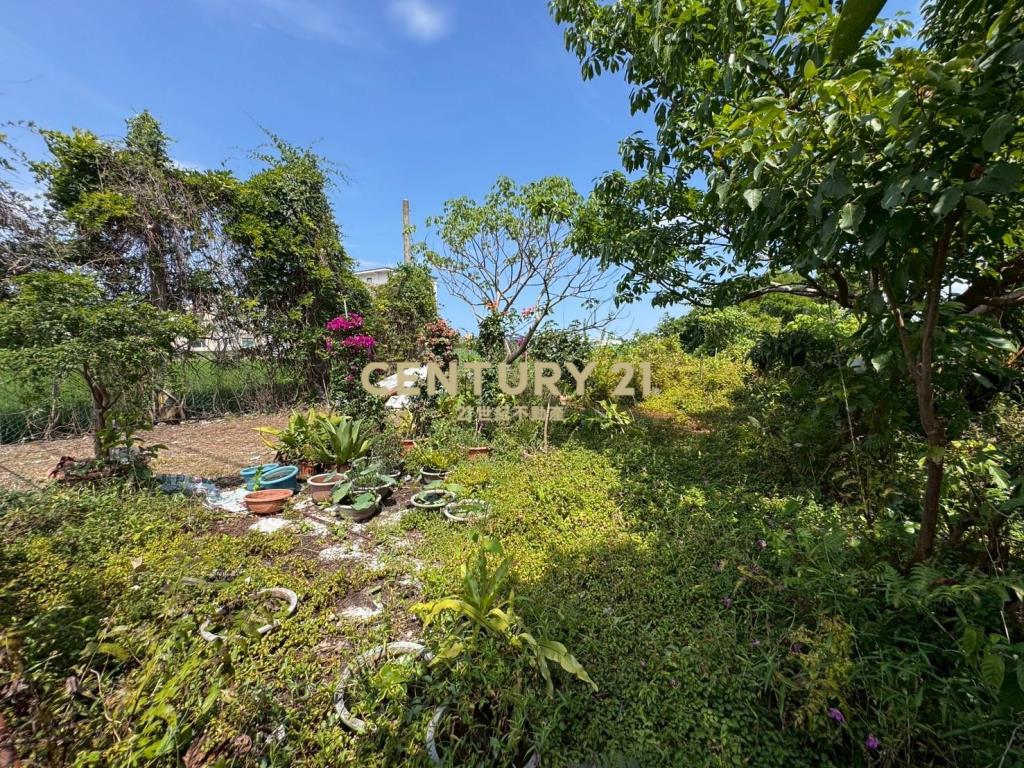 DC455員山公所旁足坪農地