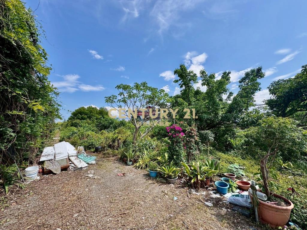 DC455員山公所旁足坪農地