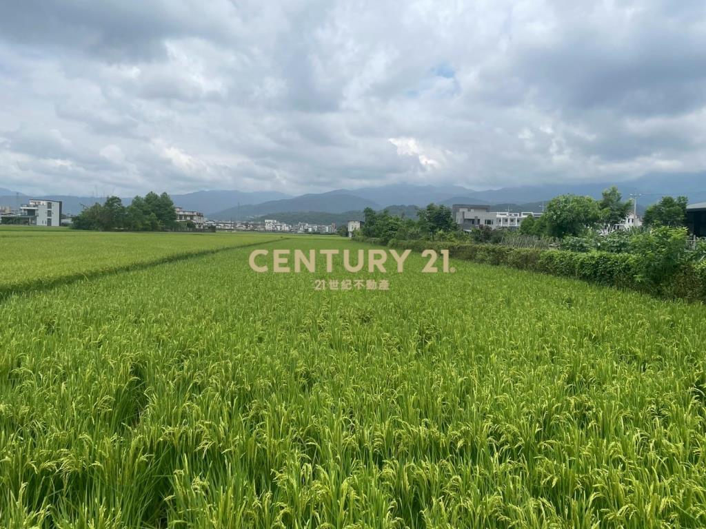 DC456礁溪方正農地