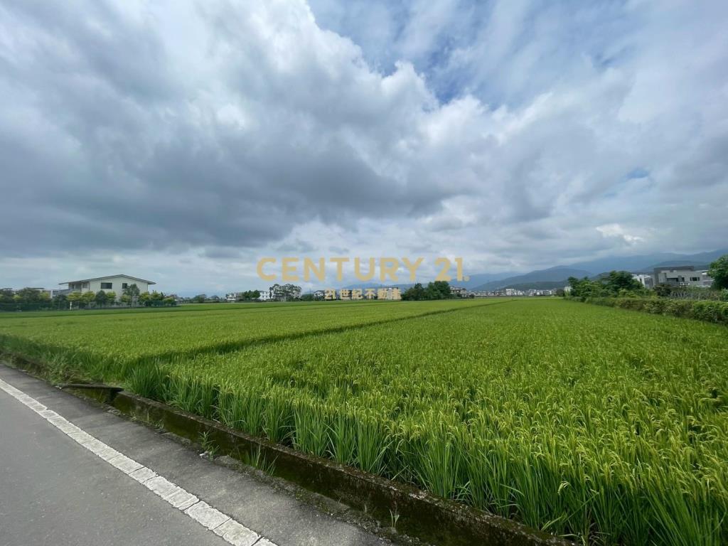 DC456礁溪方正農地