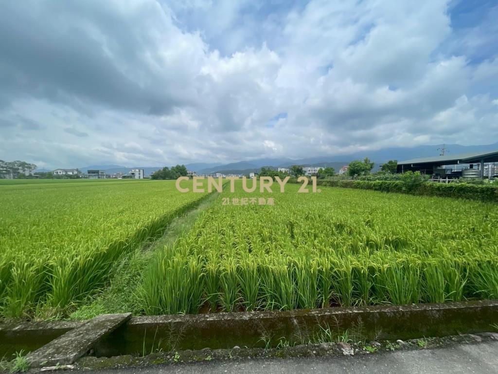 DC456礁溪方正農地