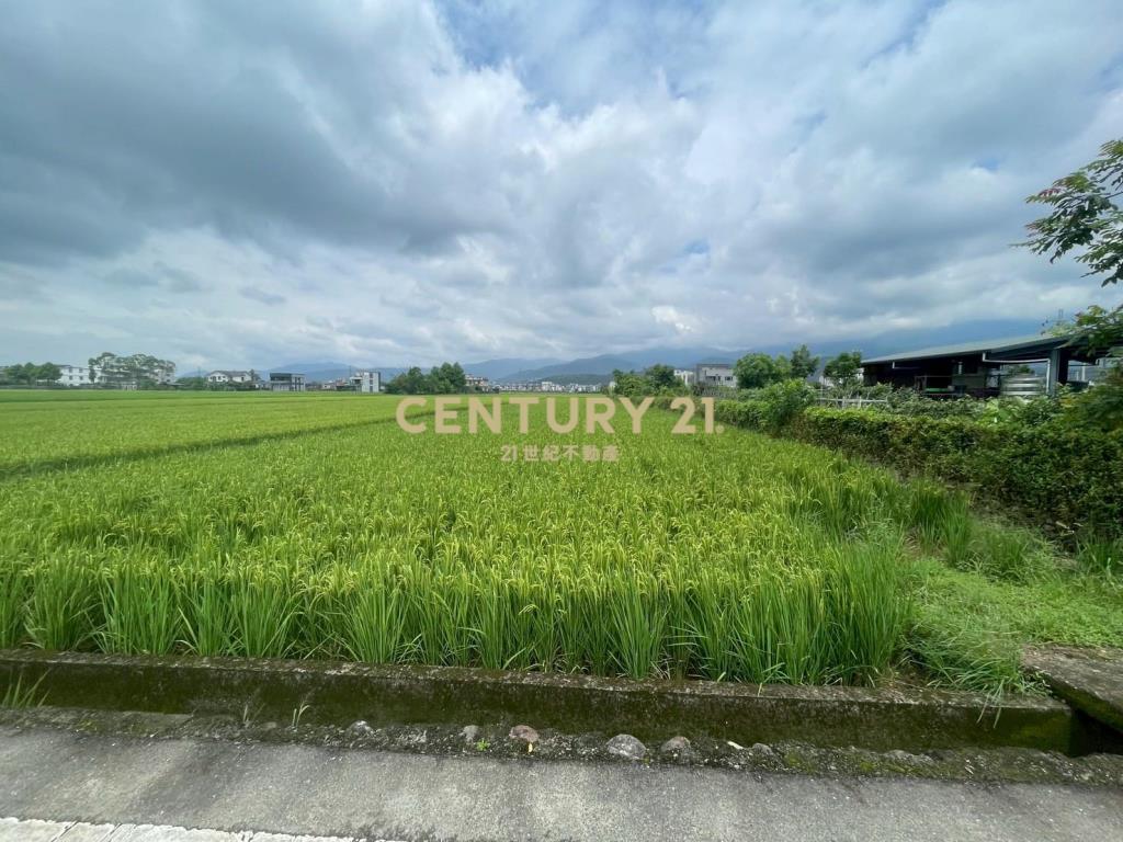 DC456礁溪方正農地