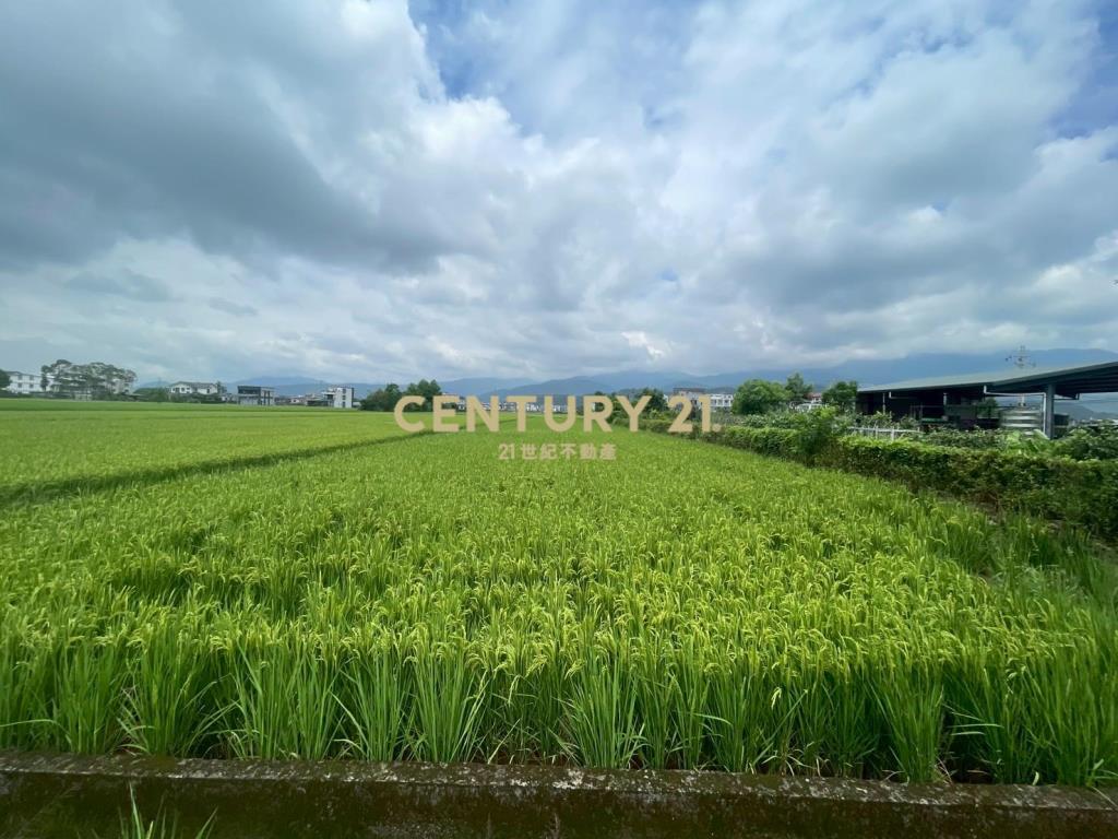 DC456礁溪方正農地