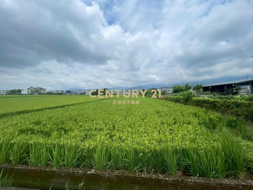 DC456礁溪方正農地