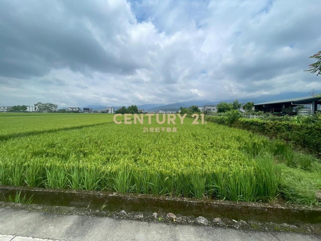 DC456礁溪方正農地