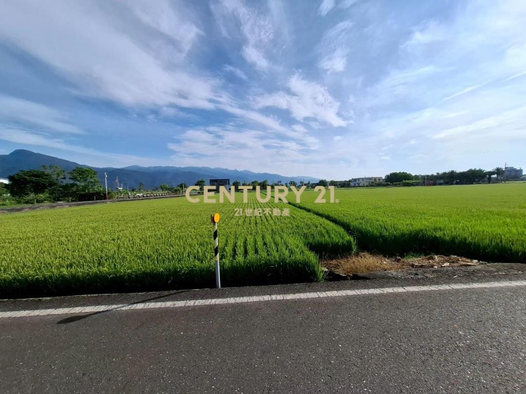 JC343礁溪高速公路大面寬方正足坪農地