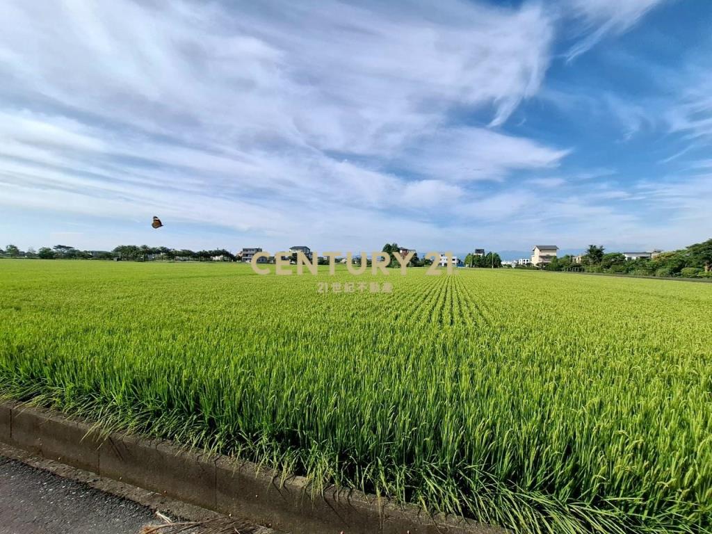 JC343礁溪高速公路大面寬方正足坪農地