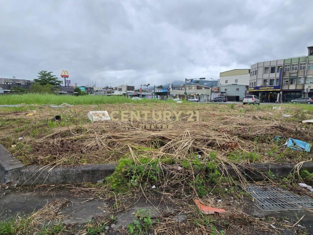 JD143頭城麥當勞旁建地C