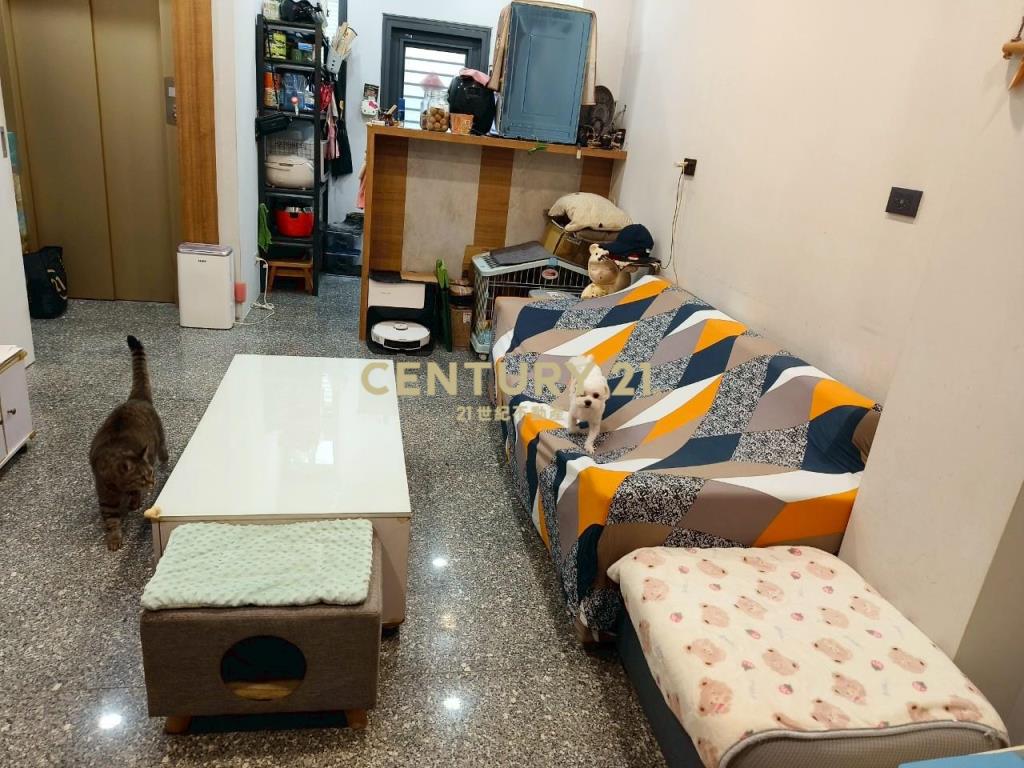 DB394礁溪輕屋齡電梯透天