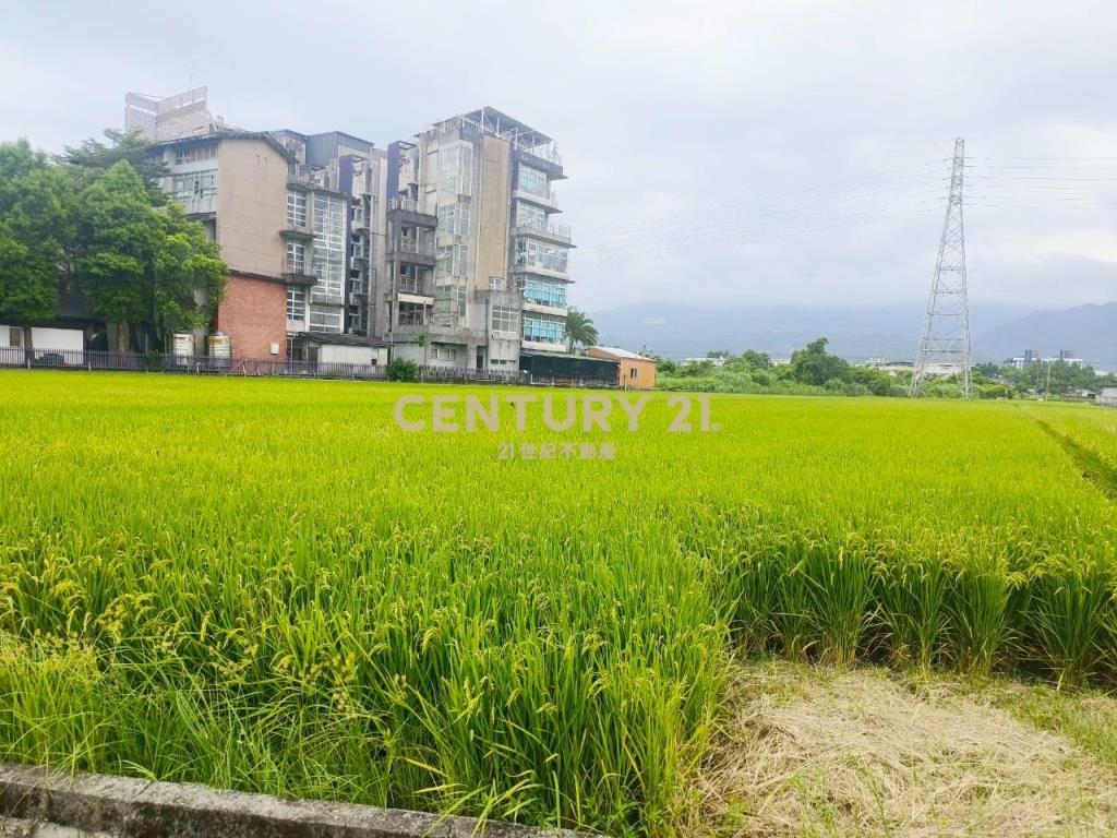 DC463礁溪協民460農地