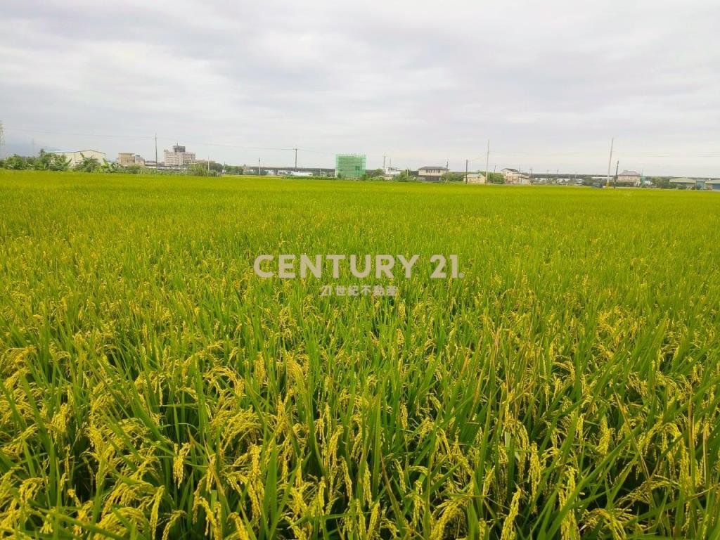 DC463礁溪協民460農地