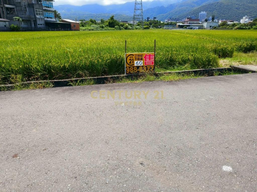 DC463礁溪協民460農地