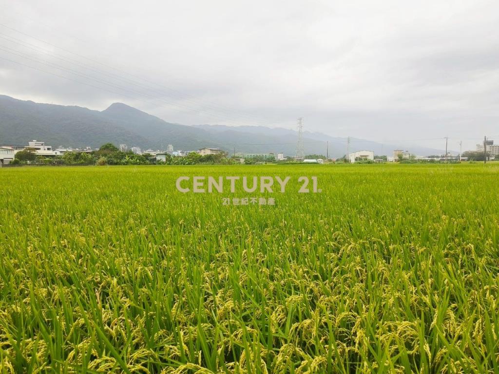 DC463礁溪協民460農地